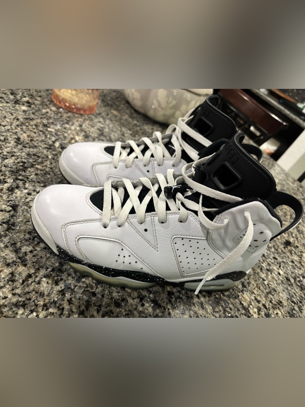 Jordan 6 (Oreo)
